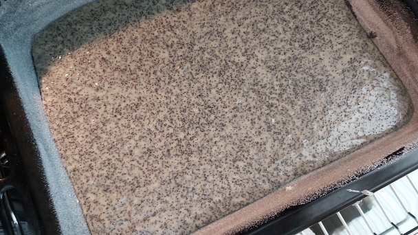 Rýchly makovec (fotorecept) - obrázok 5