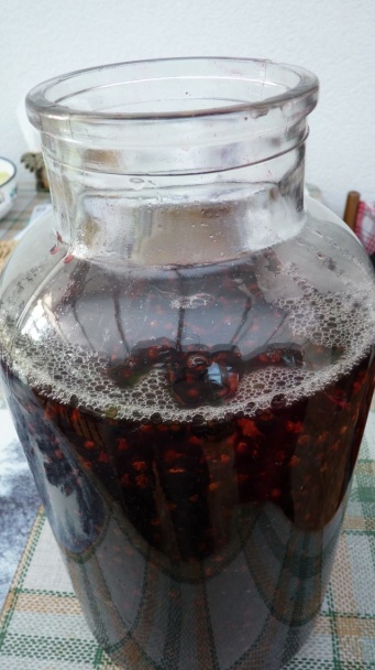 Sirup z čiernych ríbezlí - obrázok 1