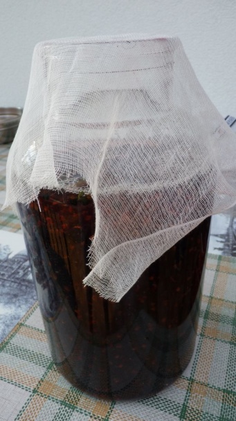 Sirup z čiernych ríbezlí - obrázok 2