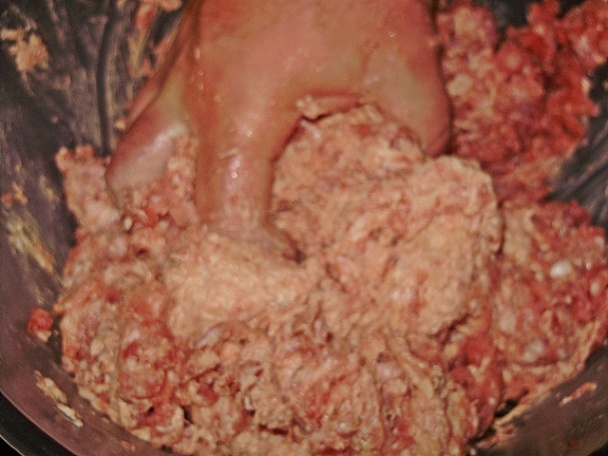 Ľevy emericky hamburger (fotorecept) - obrázok 2