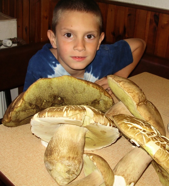 Dubákové rizoto (fotorecept) - obrázok 1