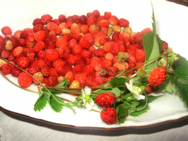 Koláčik s lesnými jahôdkami (fotorecept) - obrázok 2