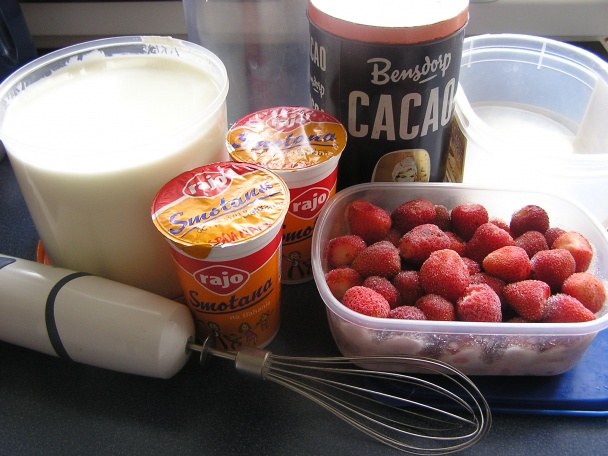 Jogurtová zmrzlina a la Mischa (fotorecept) - obrázok 1