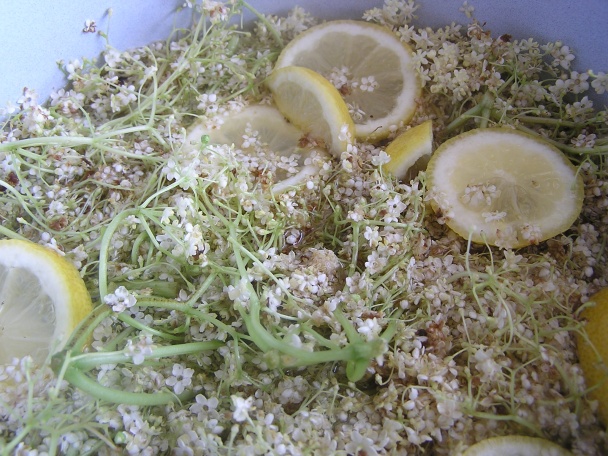 Sirup z bazy (fotorecept) - obrázok 2