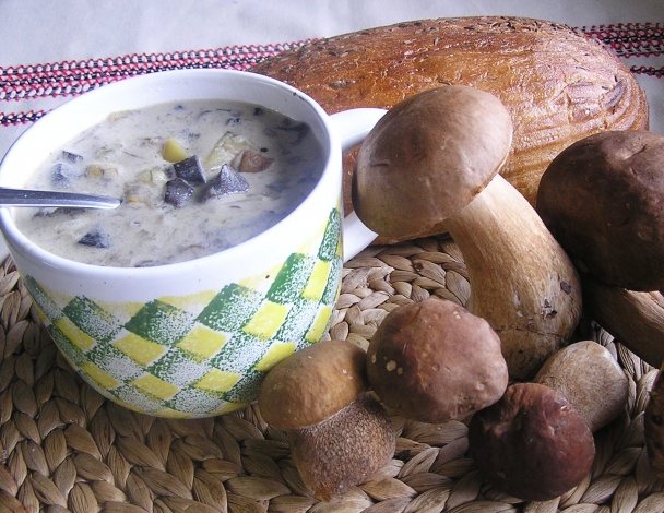 Hríbová omáčka (fotorecept) - obrázok 6