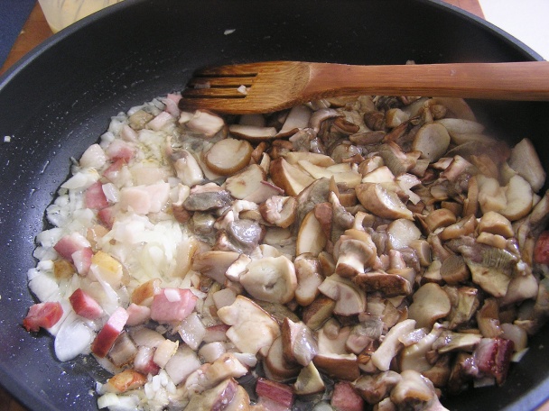 Hubník (fotorecept) - obrázok 3