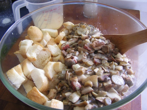 Hubník (fotorecept) - obrázok 4