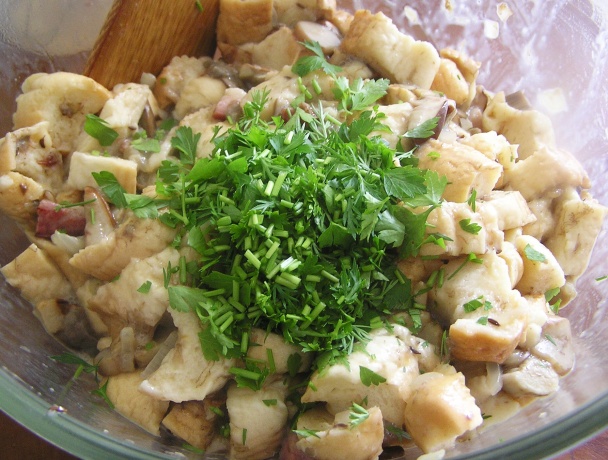 Hubník (fotorecept) - obrázok 5