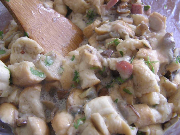 Hubník (fotorecept) - obrázok 6