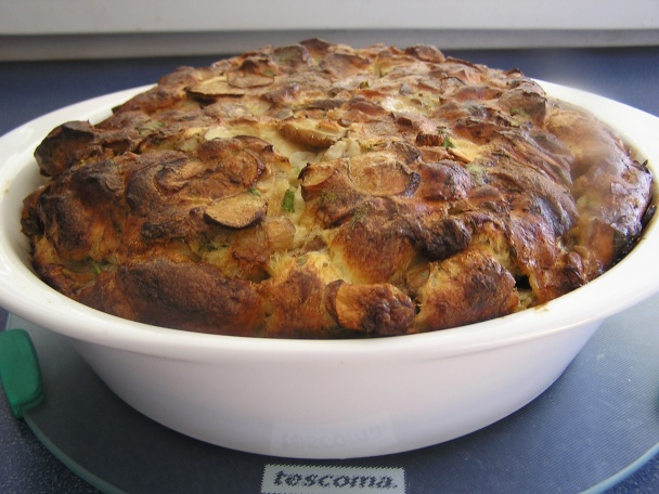 Hubník (fotorecept) - obrázok 8