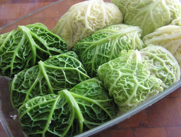 Plnený kelový list s rajčinovou omáčkou (fotorecept) - obrázok 5