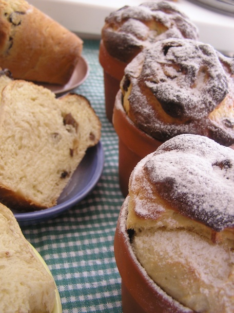 Briošky v kvetináči (fotorecept) - obrázok 12