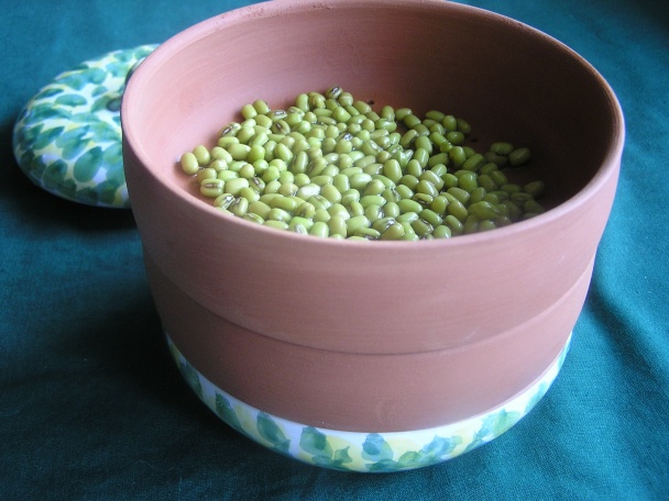 Nakličovanie semien (fotorecept) - obrázok 4