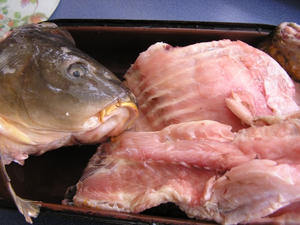 Vianočná rybacia polievka (fotorecept) - obrázok 1