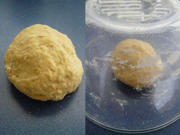 Hubové ragú so širokými rezancami (fotorecept) - obrázok 2