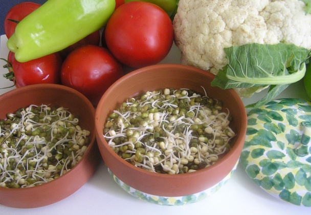 Cestovinový šalát so zeleninou a mungo klíčkami (fotorecept) - obrázok 7