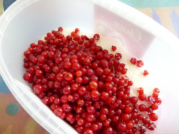 Koláč s ríbezľami II. (fotorecept) - obrázok 4