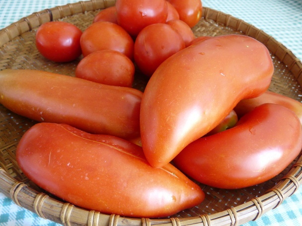 Špagety so sušenými paradajkami (fotorecept) - obrázok 7