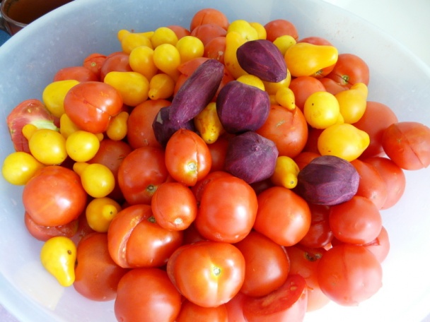 Rajčiny ako polotovar (fotorecept) - obrázok 6