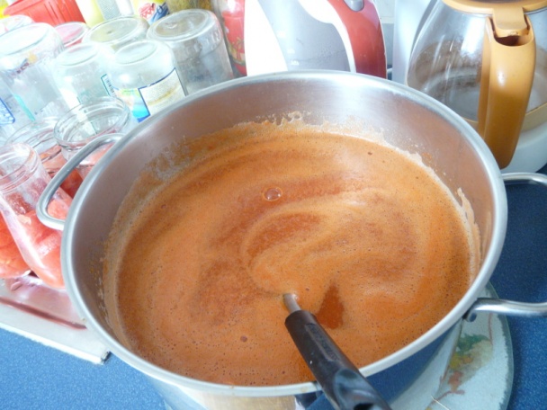 Rajčiny ako polotovar (fotorecept) - obrázok 12