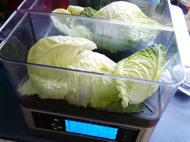 Plnený kelový list (fotorecept) - obrázok 2