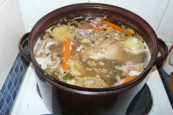 Huspenina (fotorecept) - obrázok 2