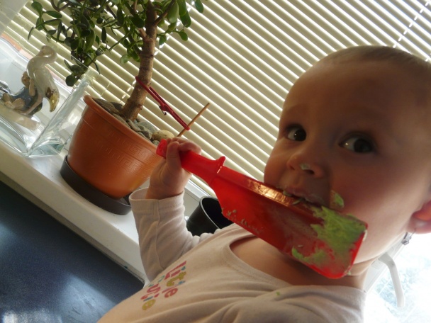 Torta čokoládovo pistáciová (fotorecept) - obrázok 9