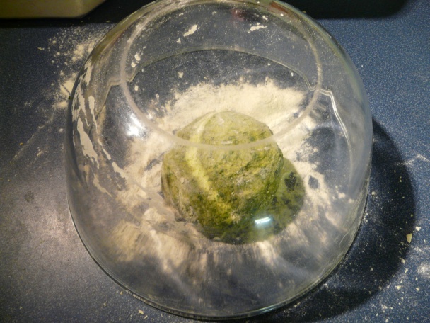 Špenátové ravioli s mäsovou plnkou a rajčinovou omáčkou (fotorecept) - obrázok 2