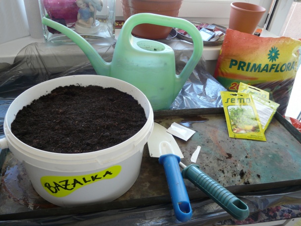 Bazalka - pestovanie a použitie v kuchyni (fotopostup) - obrázok 6