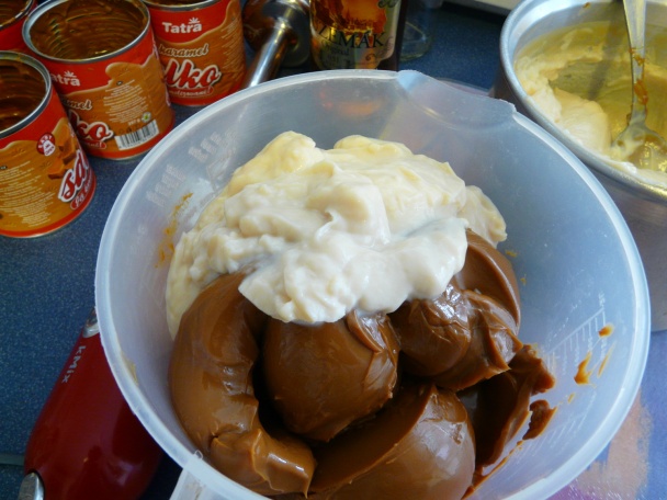 Domáce Bailey´s (fotorecept) - obrázok 4