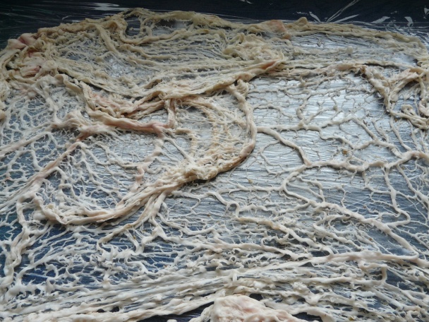 Mäsová roláda a všeličo iné (fotorecept) - obrázok 2