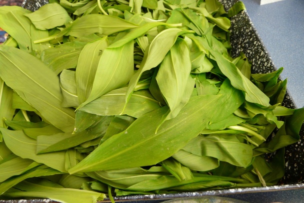 Losos s krémom z medvedieho cesnaku (fotorecept) - obrázok 1