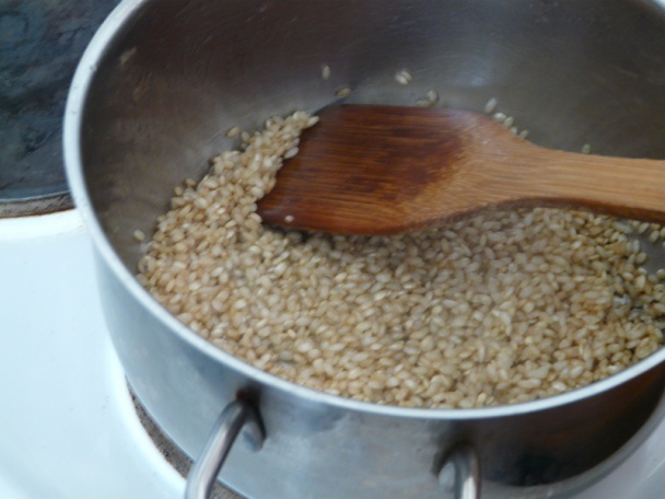 Hovädzie len tak narýchlo a ryža natural (fotorecept) - obrázok 9