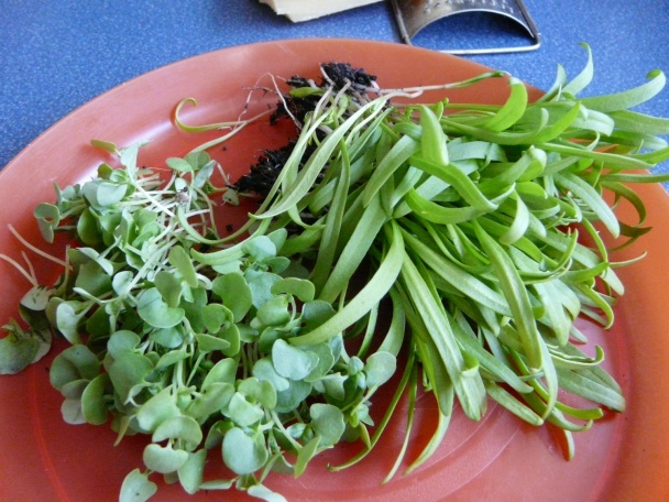 Špagety a špenát z balkóna (fotorecept) - obrázok 3