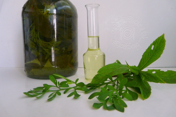 Zelinkové pálené (fotorecept) - obrázok 4