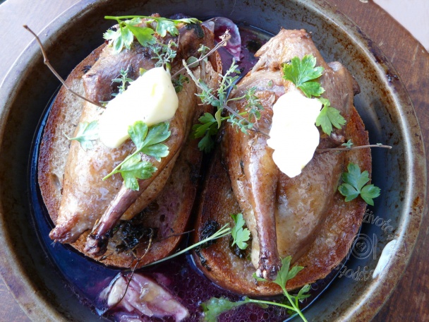 Holub pečený na chlebe (fotorecept) - obrázok 5