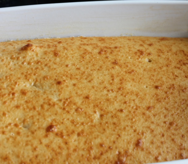 Marhuľový koláč (fotorecept) - obrázok 1