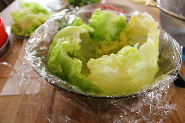 Plnená kelová hlava (fotorecept) - obrázok 2