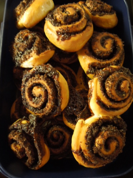 Osie hniezda - obrázok 6