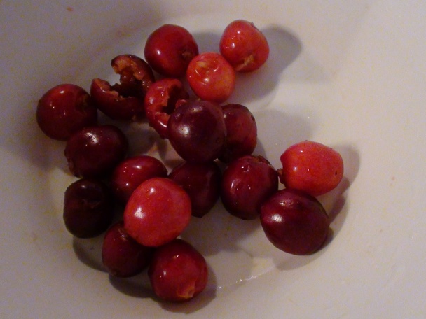 Kandizované čerešne jednodňové - obrázok 3