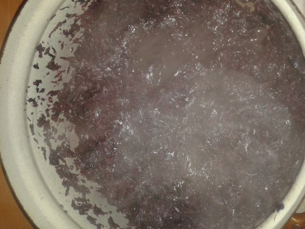 Moravský vrabec s červenou kapustou a domácou  karlovarskou knedľou - obrázok 7