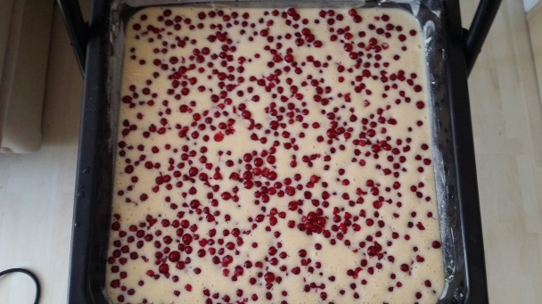 Ríbezľová bublanina - obrázok 3