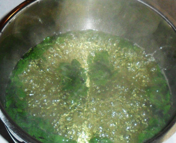 Mätový sirup - obrázok 2