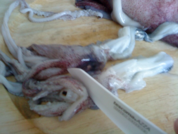 Grilované kalmáre (fotorecept) - obrázok 1