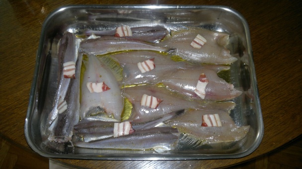 Morské ryby v keli - obrázok 1