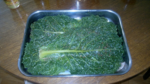 Morské ryby v keli - obrázok 2