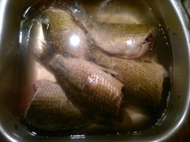 Rybací boršč – neboršč - obrázok 1