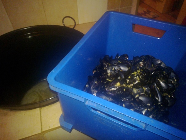 Dagnje (slávky) s makarónmi - obrázok 1