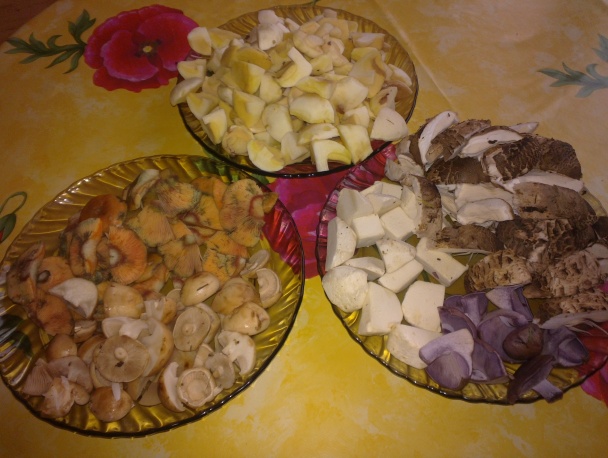 Hríbový mišmaš - obrázok 2