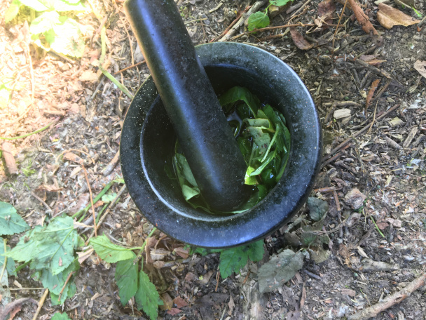 Hot dogy so slaninou, syrom, s cibuľou a bazalkovým pestom (fotorecept) - obrázok 3